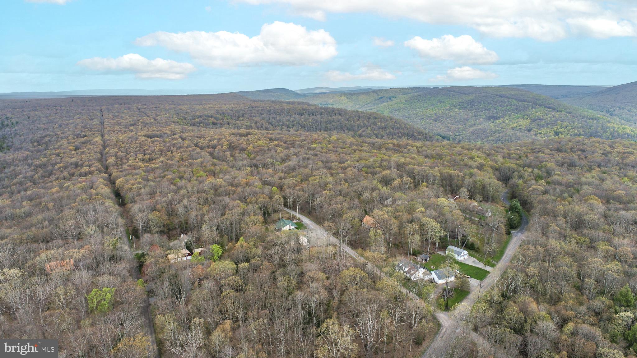 PINEY MOUNTAIN CORP - Land