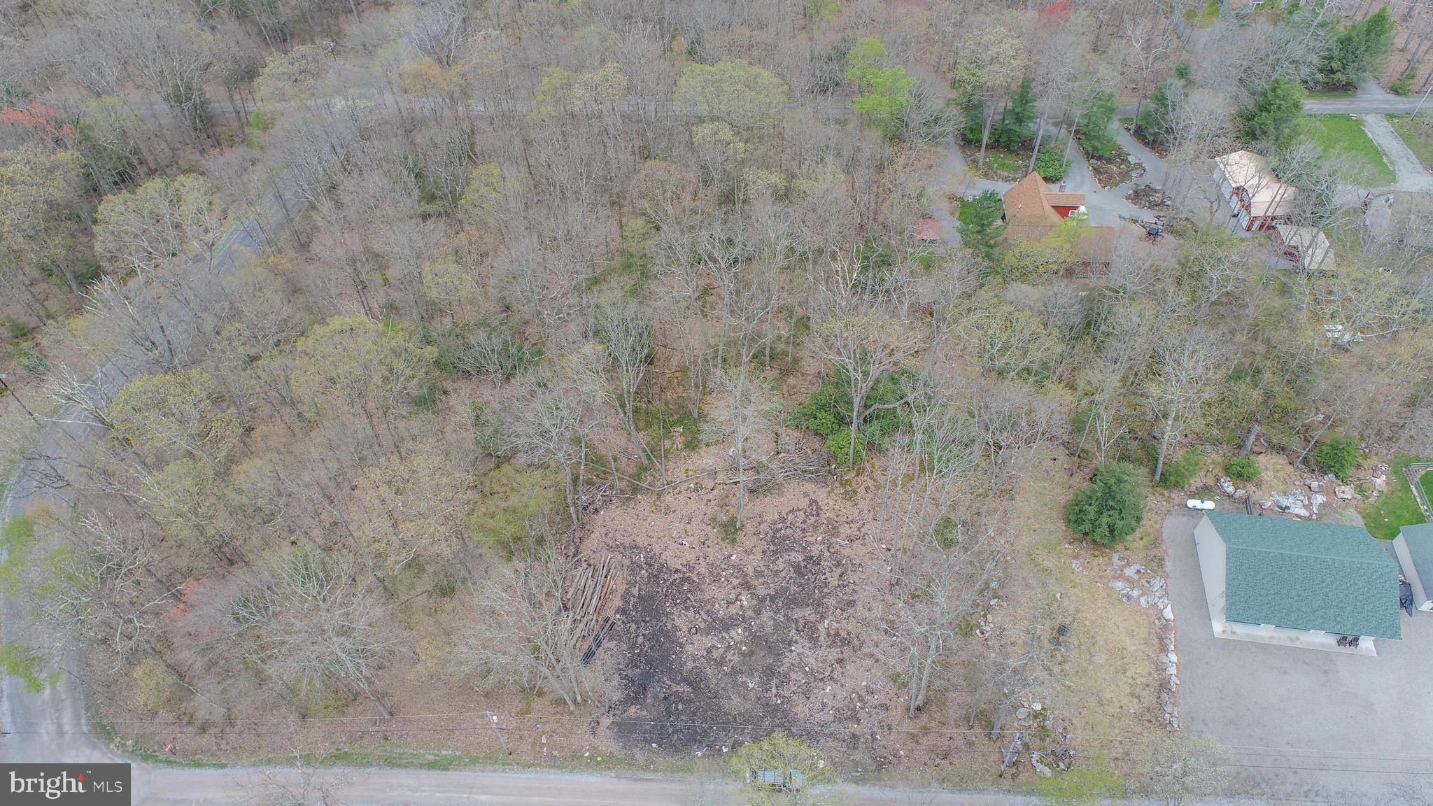 PINEY MOUNTAIN CORP - Land