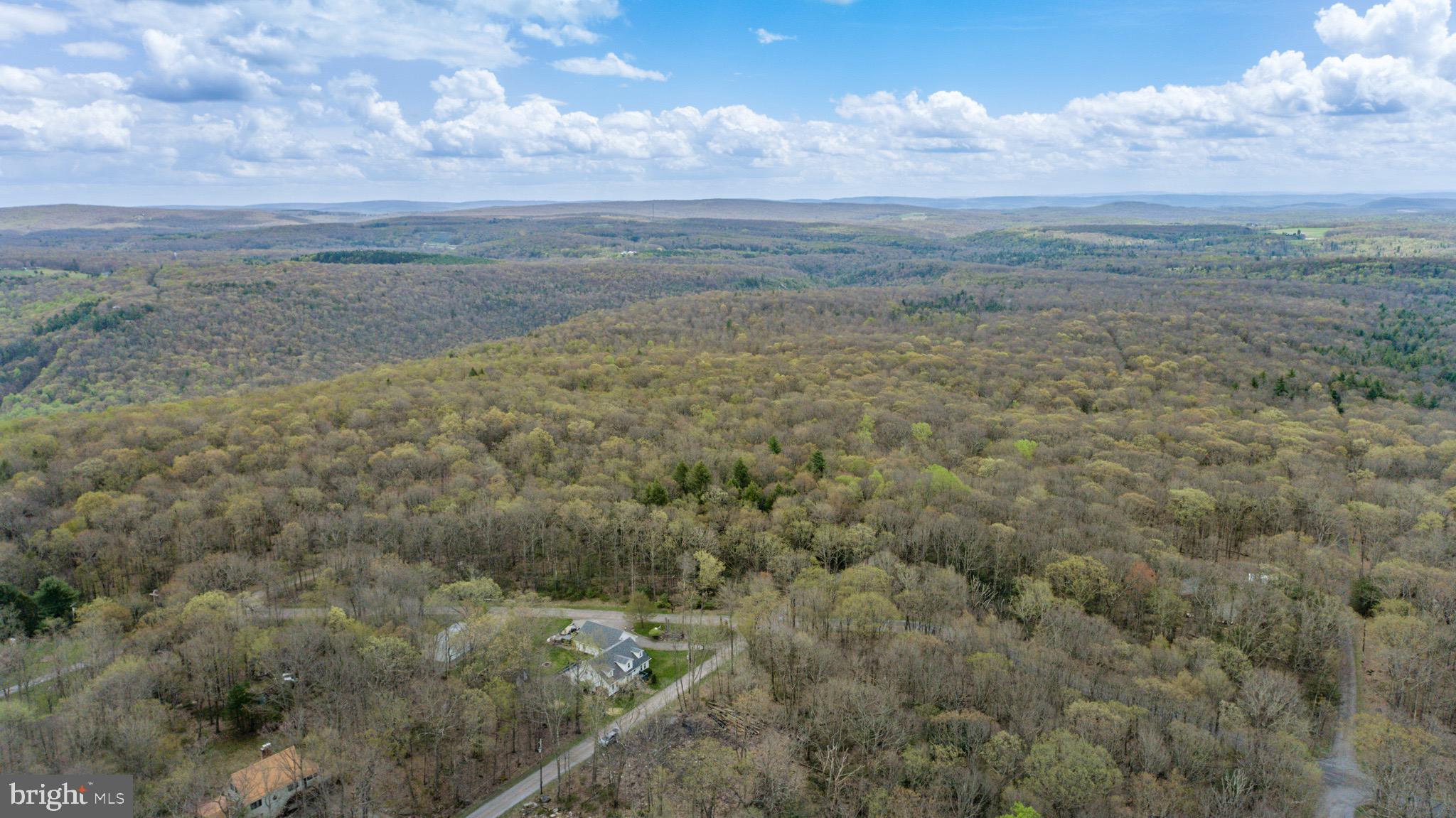 PINEY MOUNTAIN CORP - Land