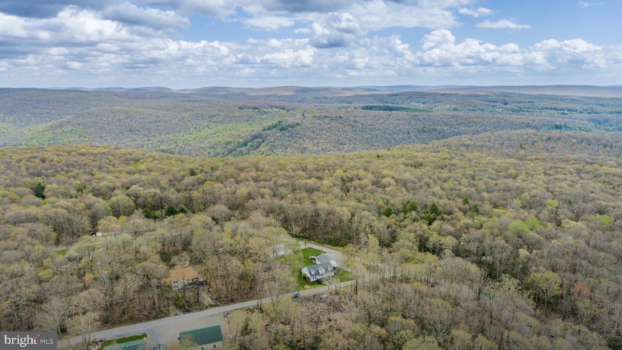 PINEY MOUNTAIN CORP - Land