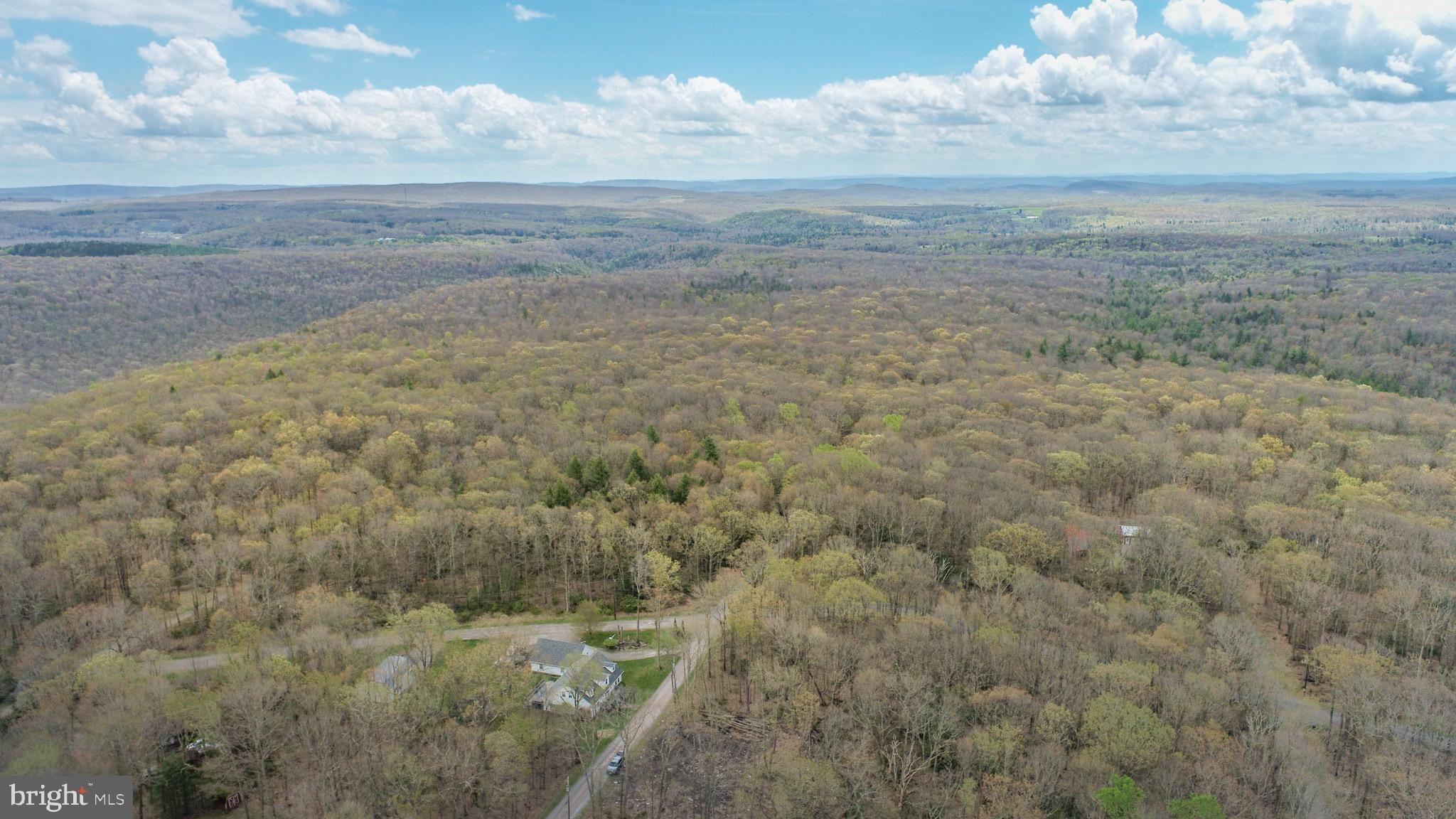 PINEY MOUNTAIN CORP - Land