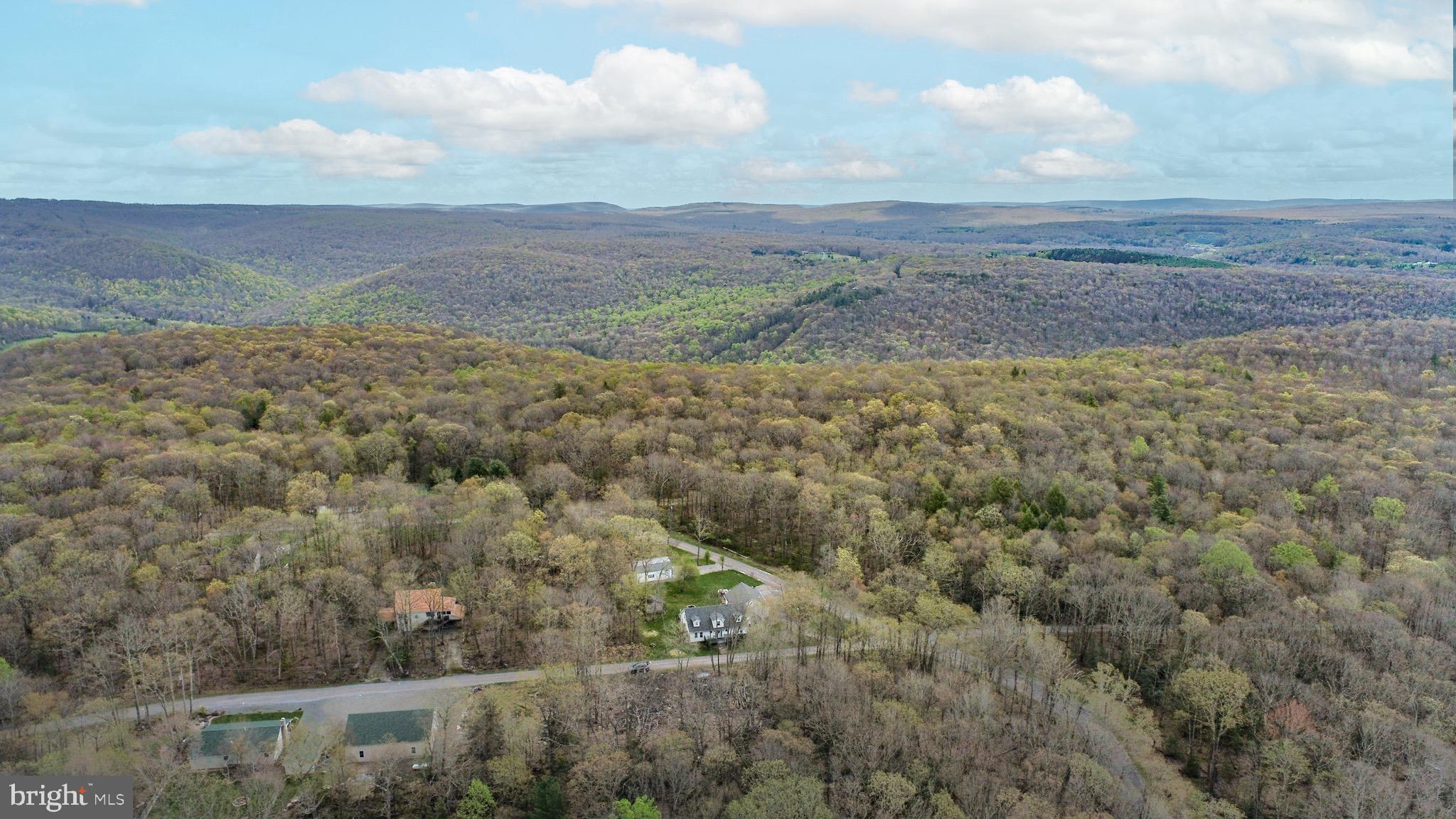 PINEY MOUNTAIN CORP - Land