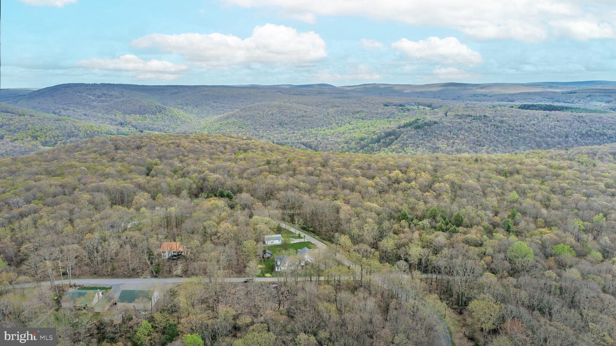 PINEY MOUNTAIN CORP - Land