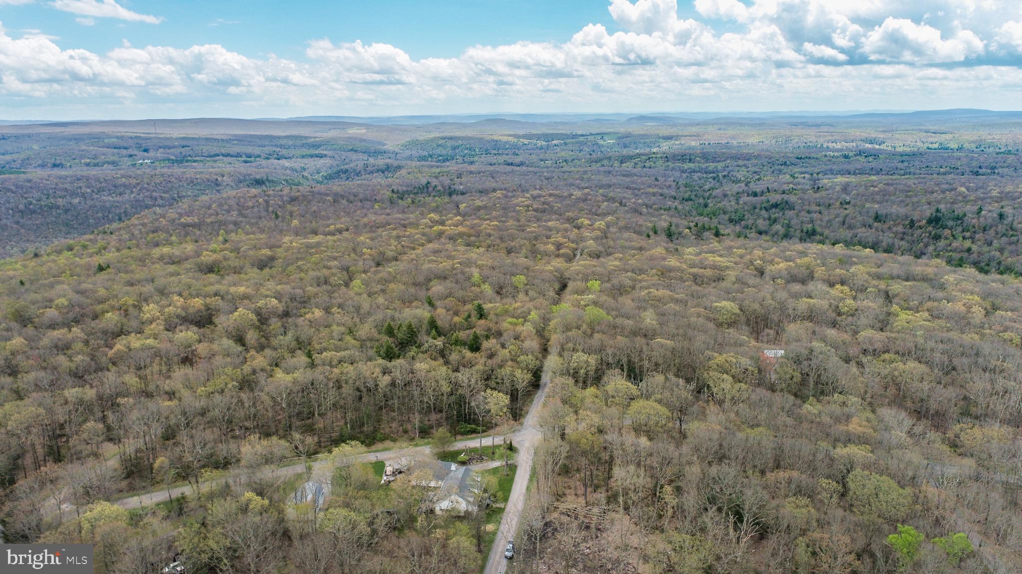 PINEY MOUNTAIN CORP - Land