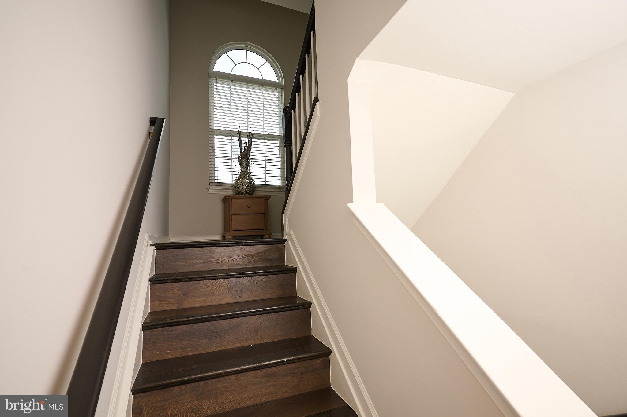 42259 TERRAZZO TERRACE