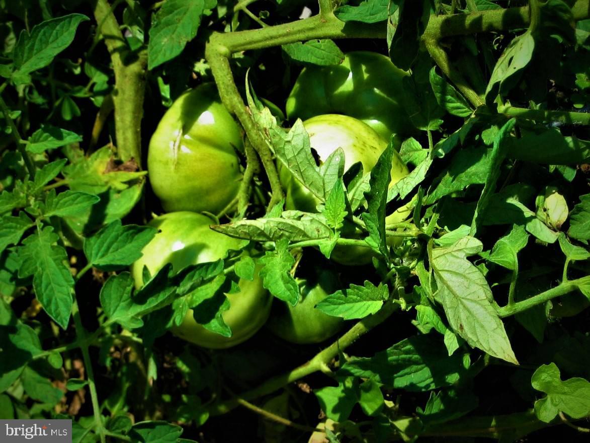 MIDDLE RIVER - Residential