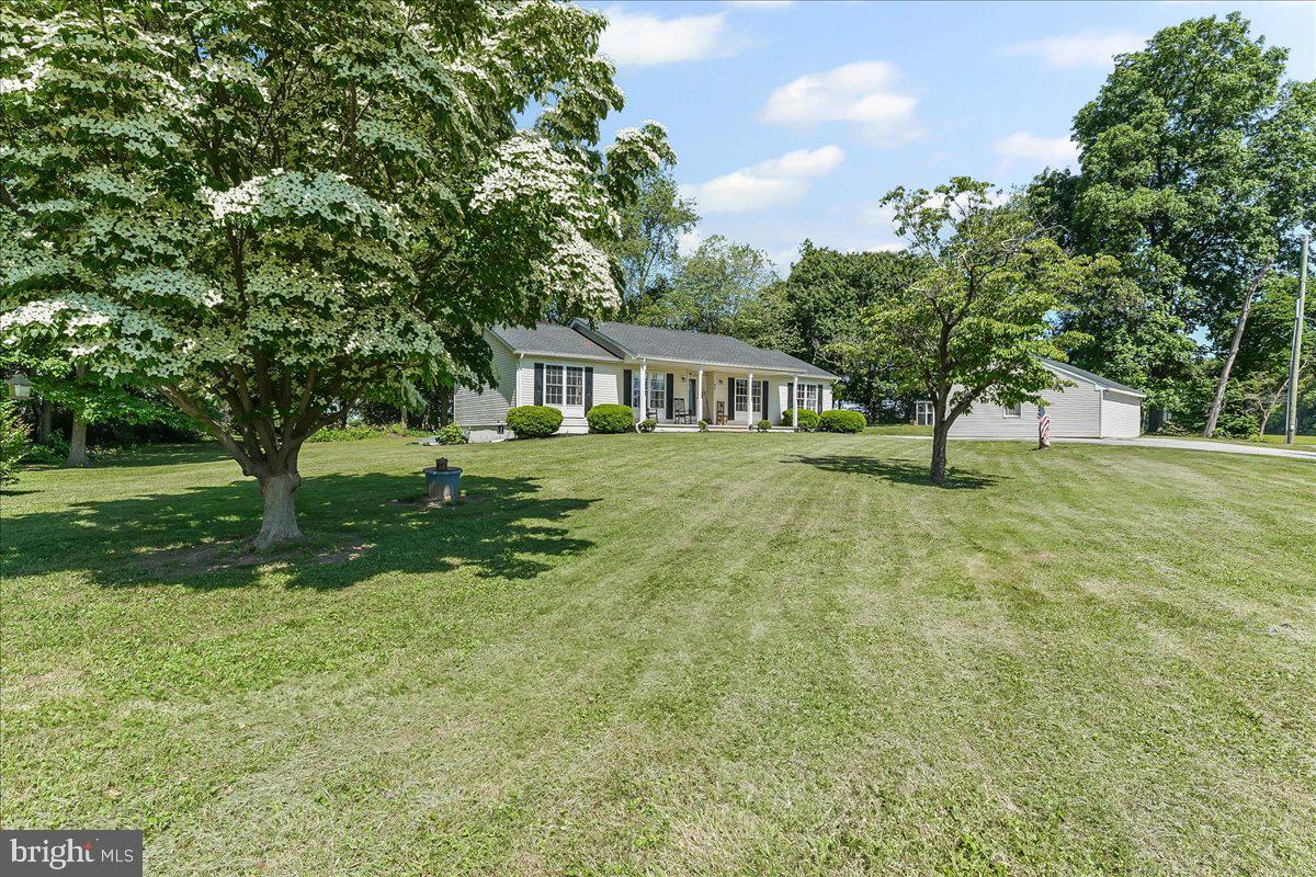415 FROG HOLLOW ROAD