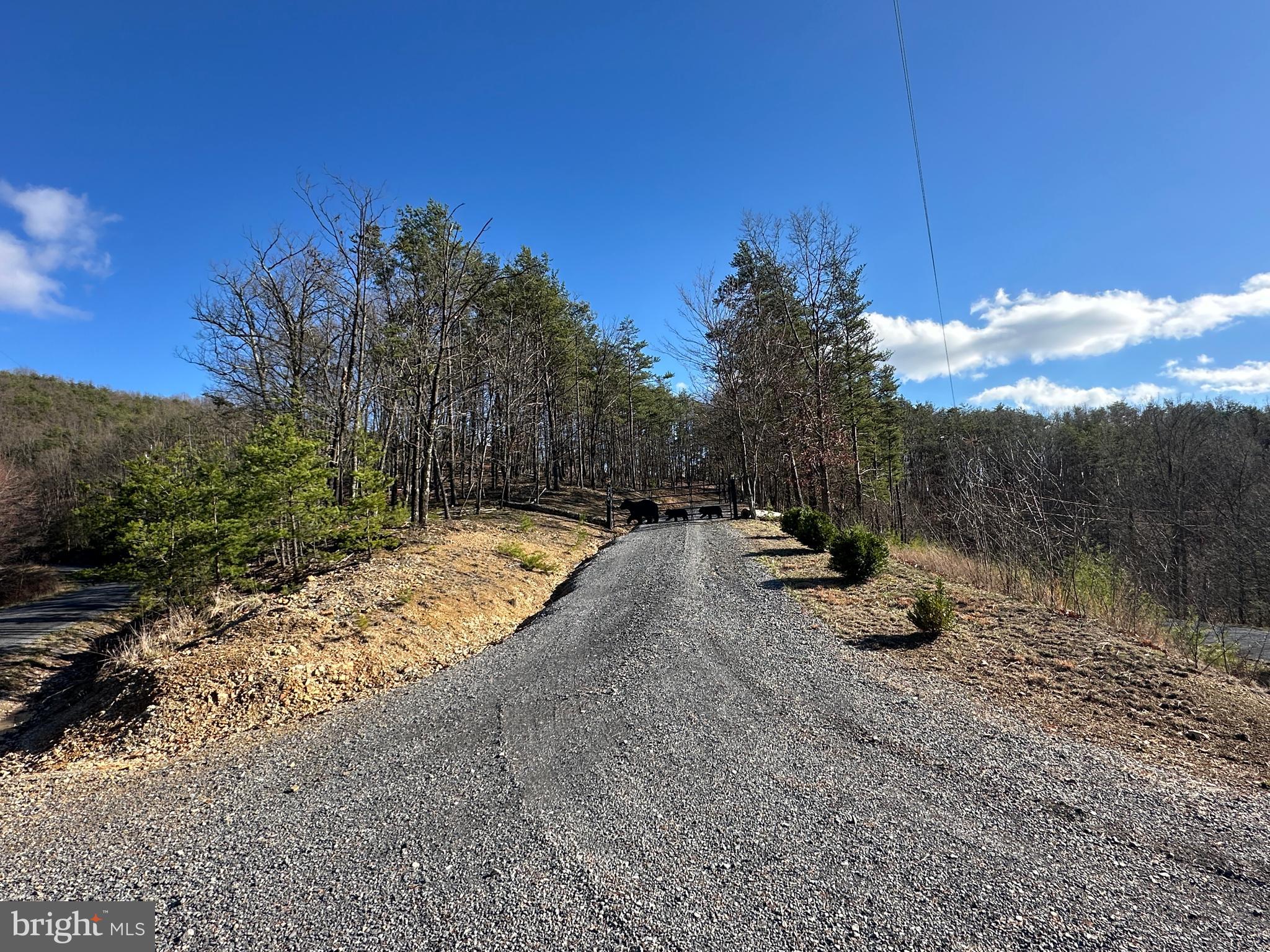 THE WOODLANDS - Residential