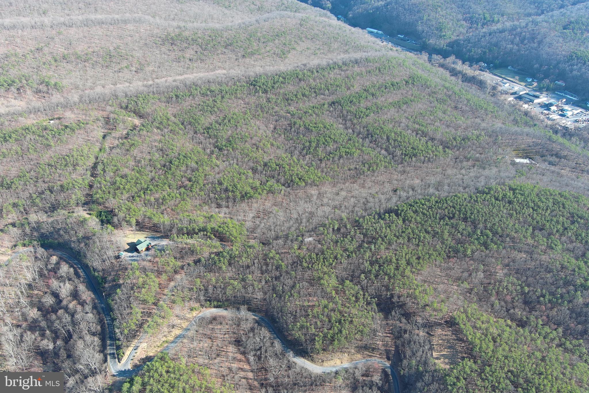 THE WOODLANDS - Residential