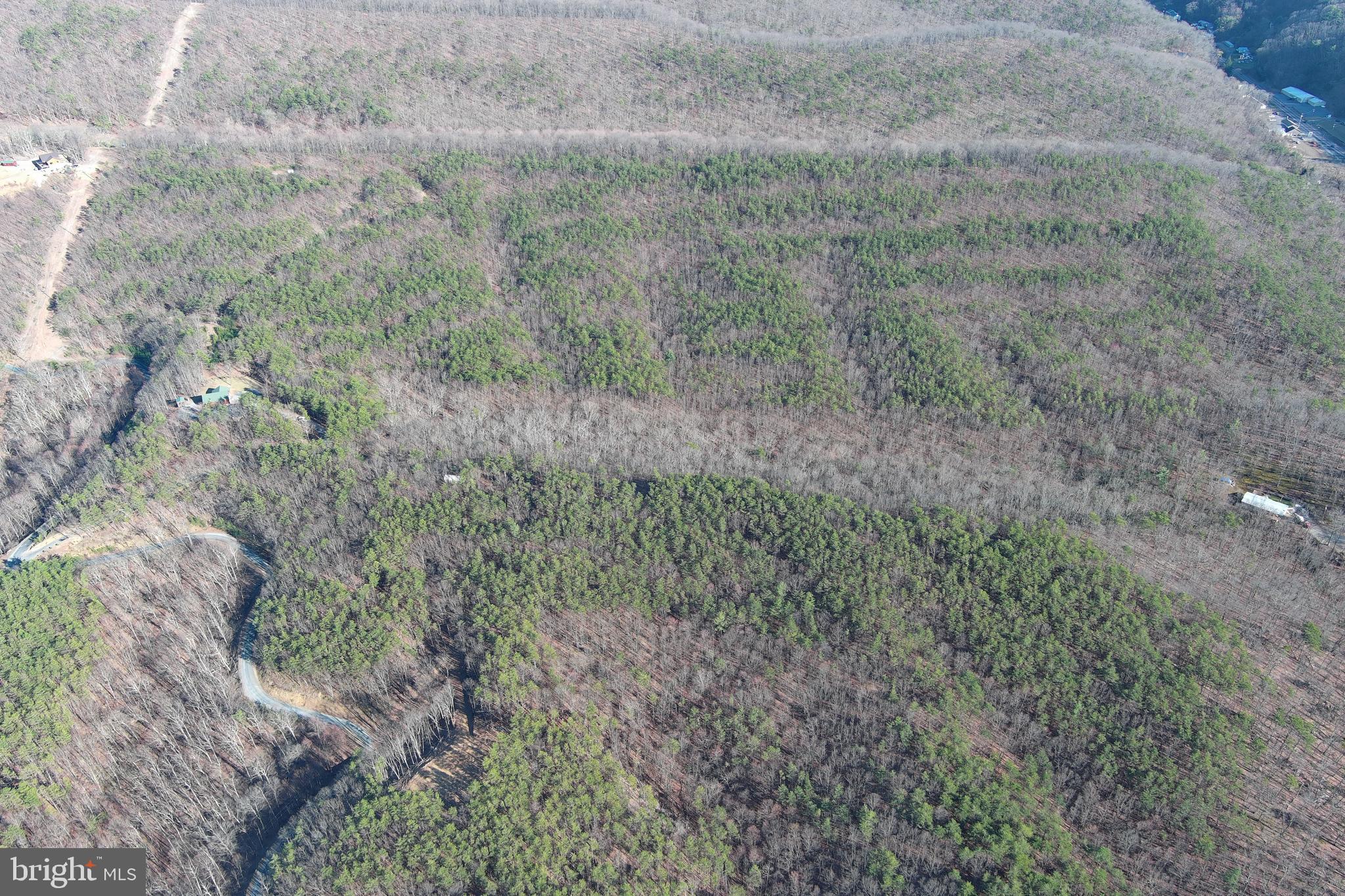 THE WOODLANDS - Residential