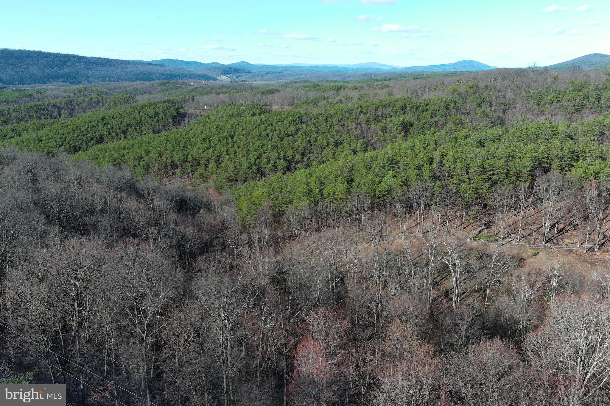 THE WOODLANDS - Residential