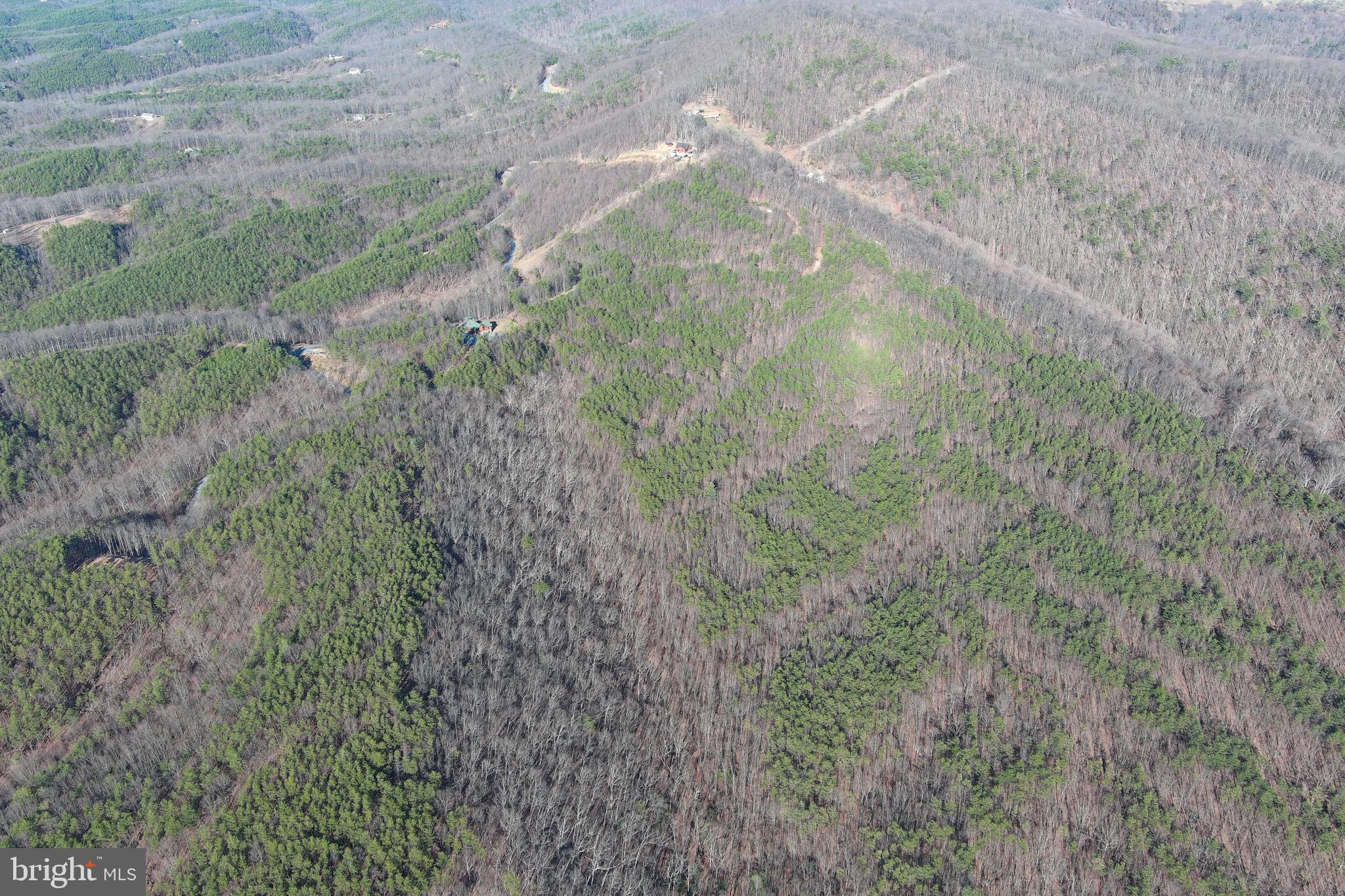 THE WOODLANDS - Residential