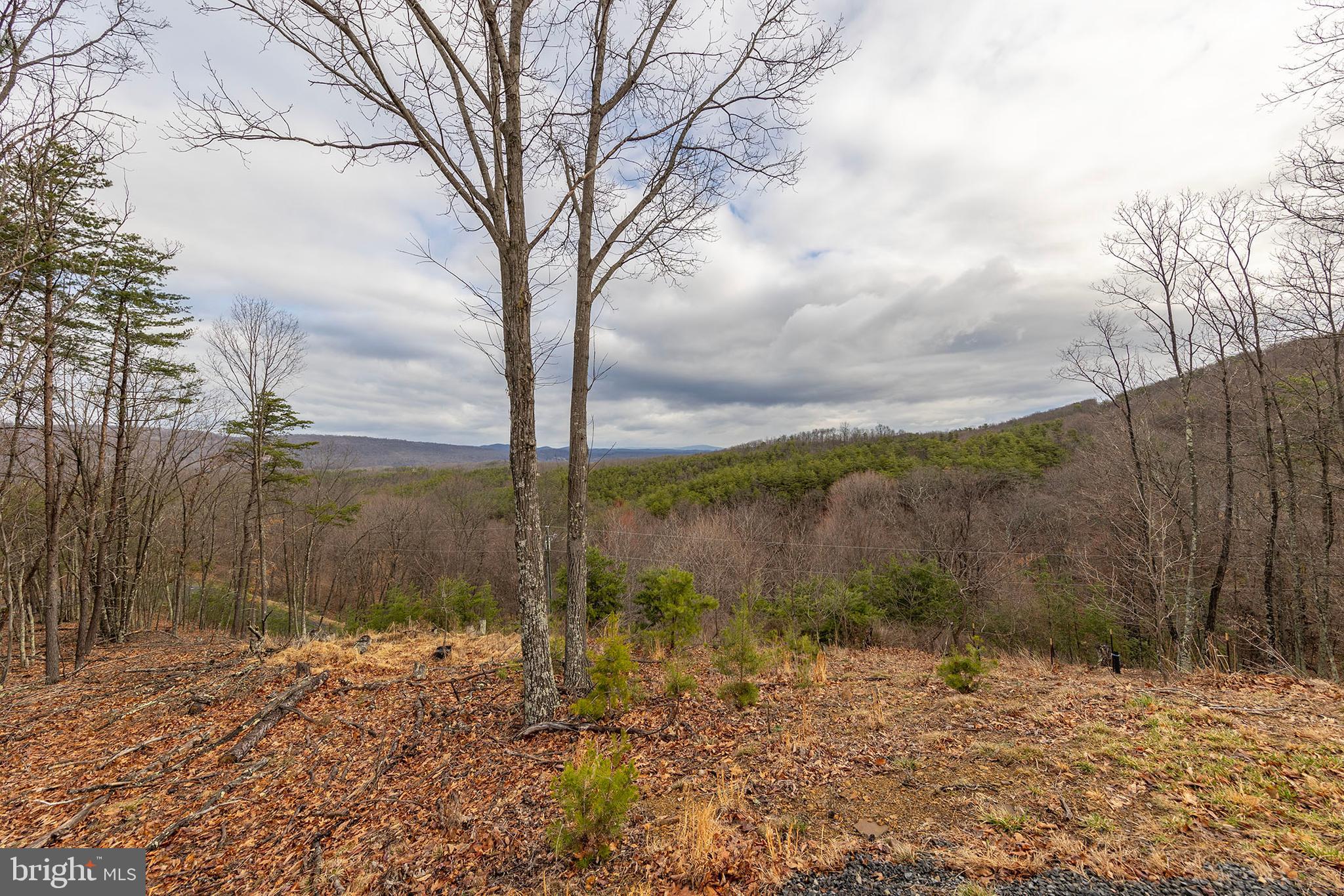 THE WOODLANDS - Residential