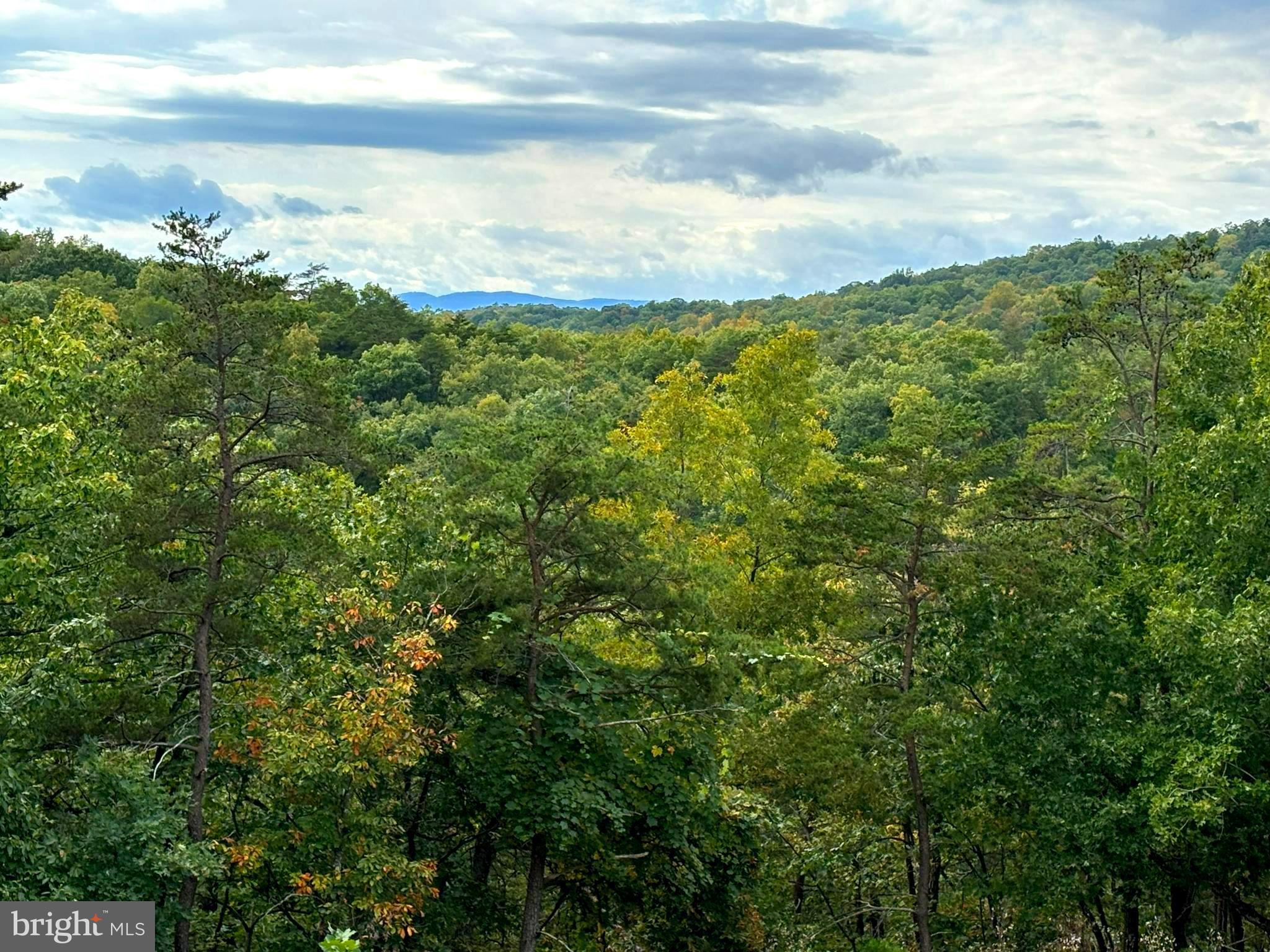 HAMILTON ESTATES - Land