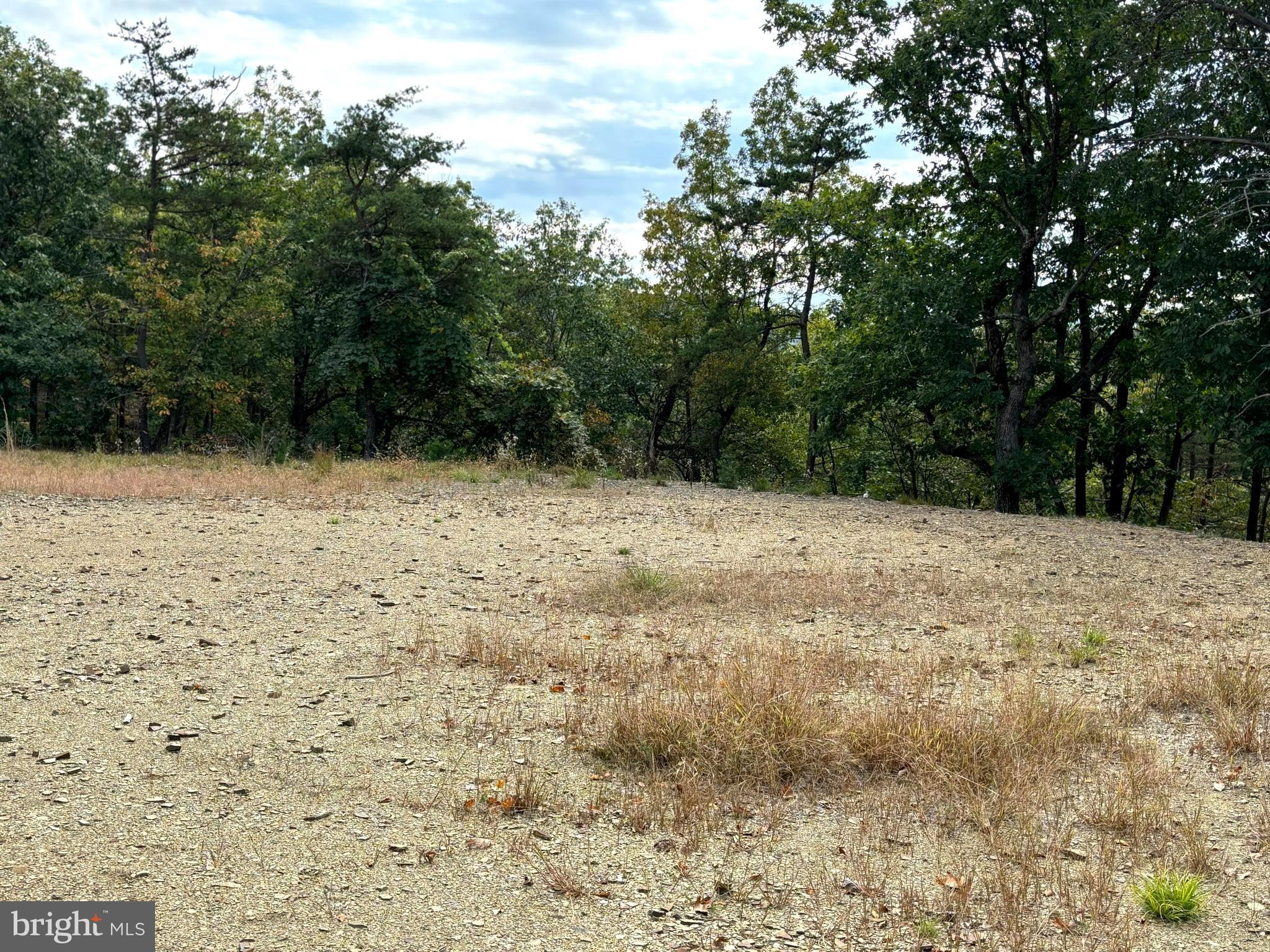 HAMILTON ESTATES - Land