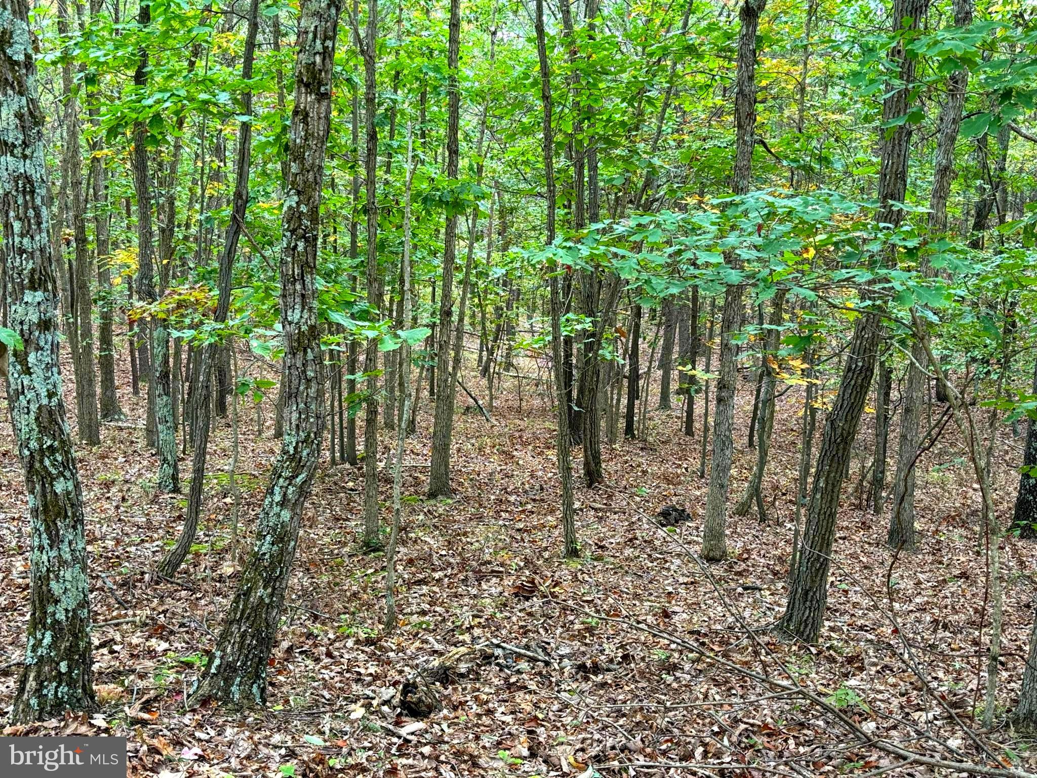 HAMILTON ESTATES - Land