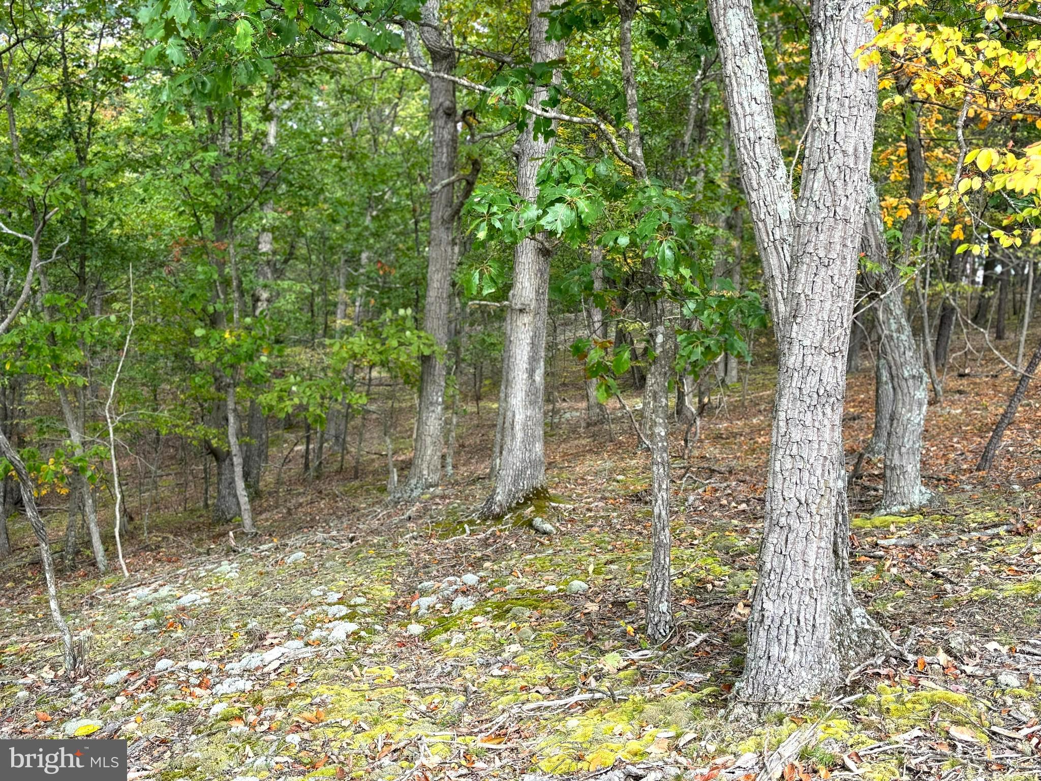 HAMILTON ESTATES - Land