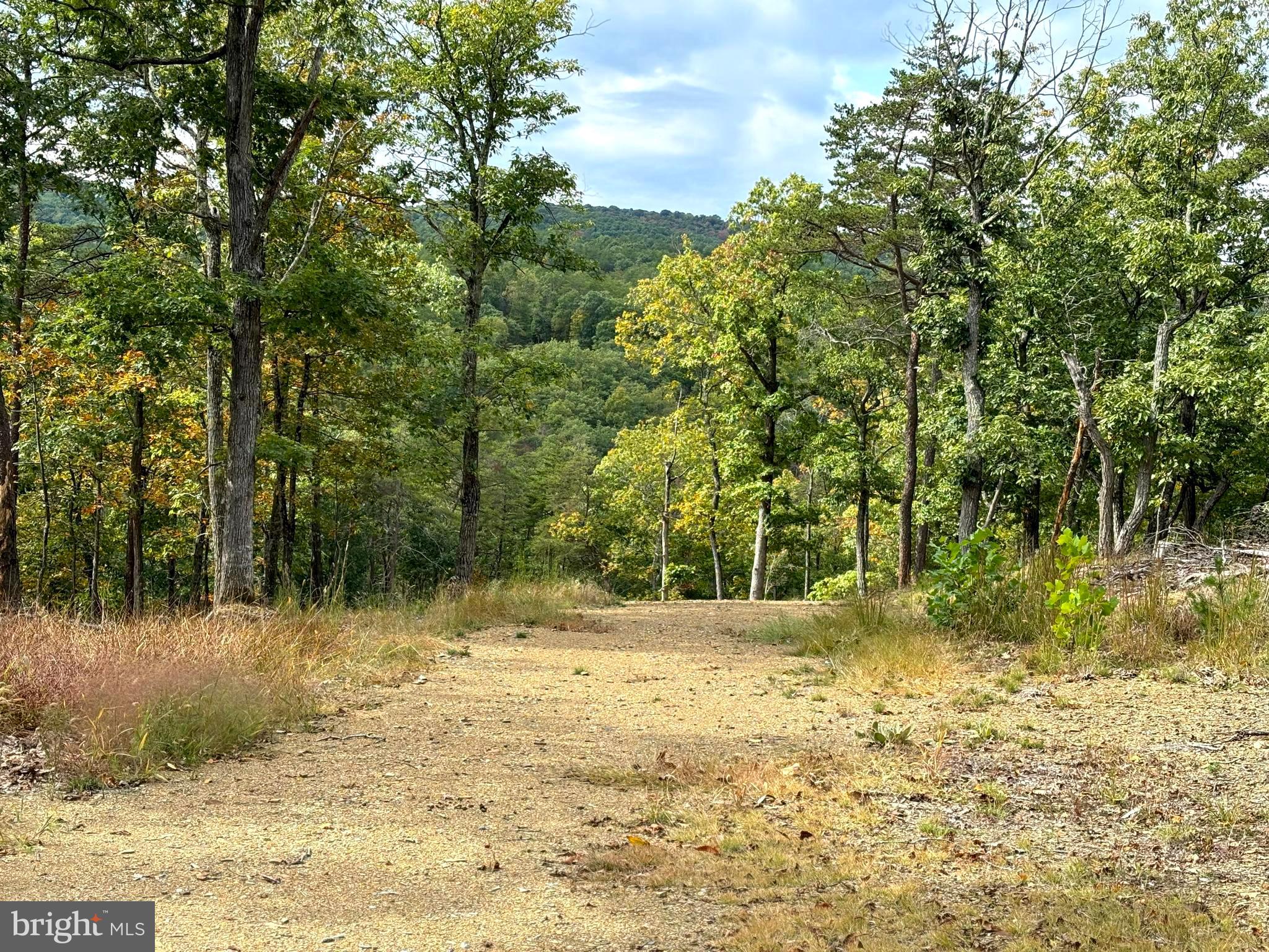 HAMILTON ESTATES - Land