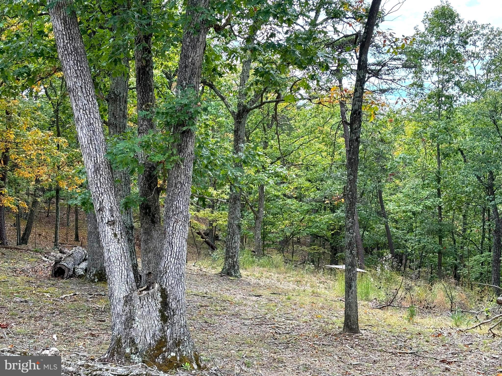 HAMILTON ESTATES - Land