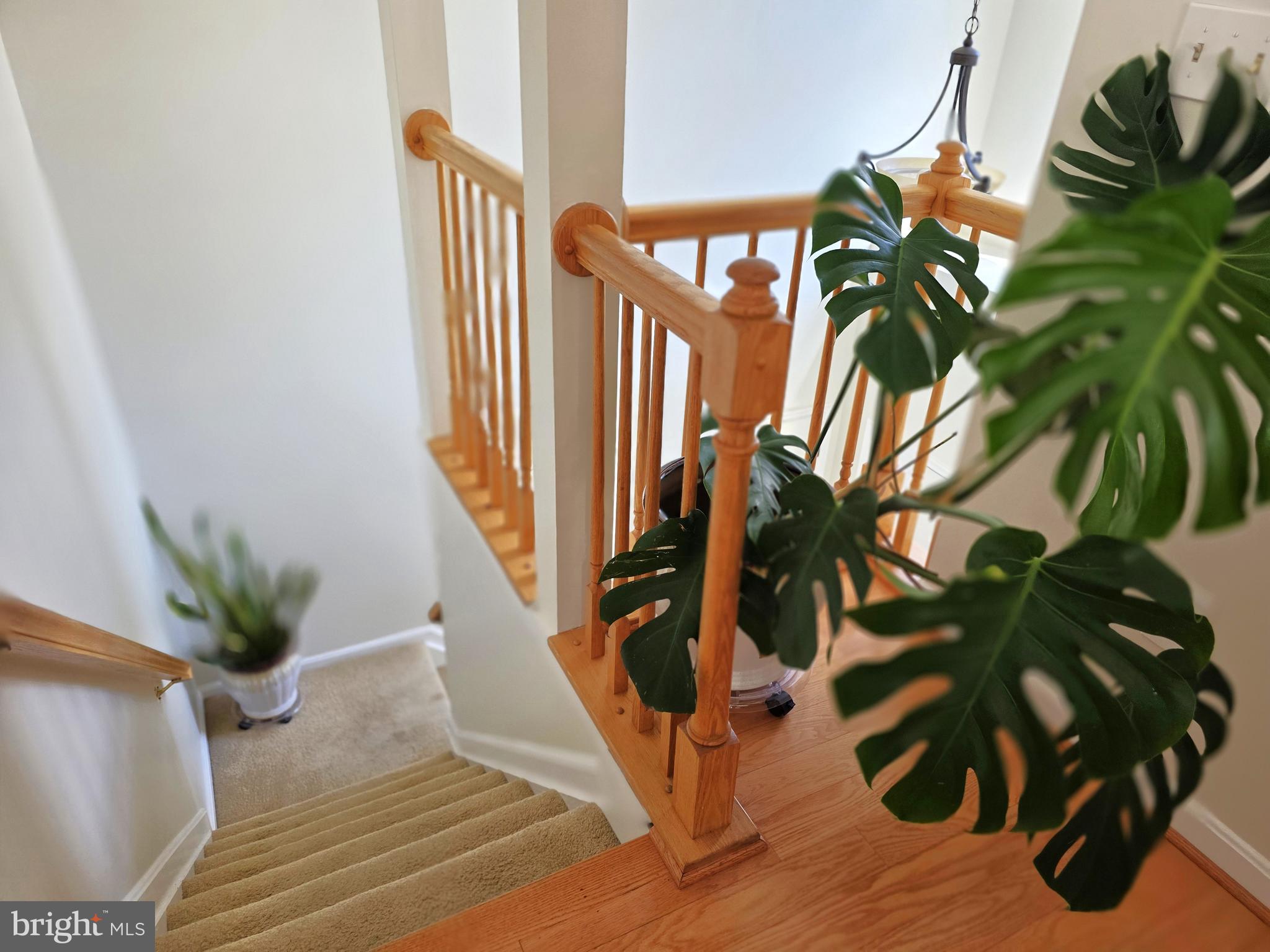 SCENERY POINTE CODM - Residential