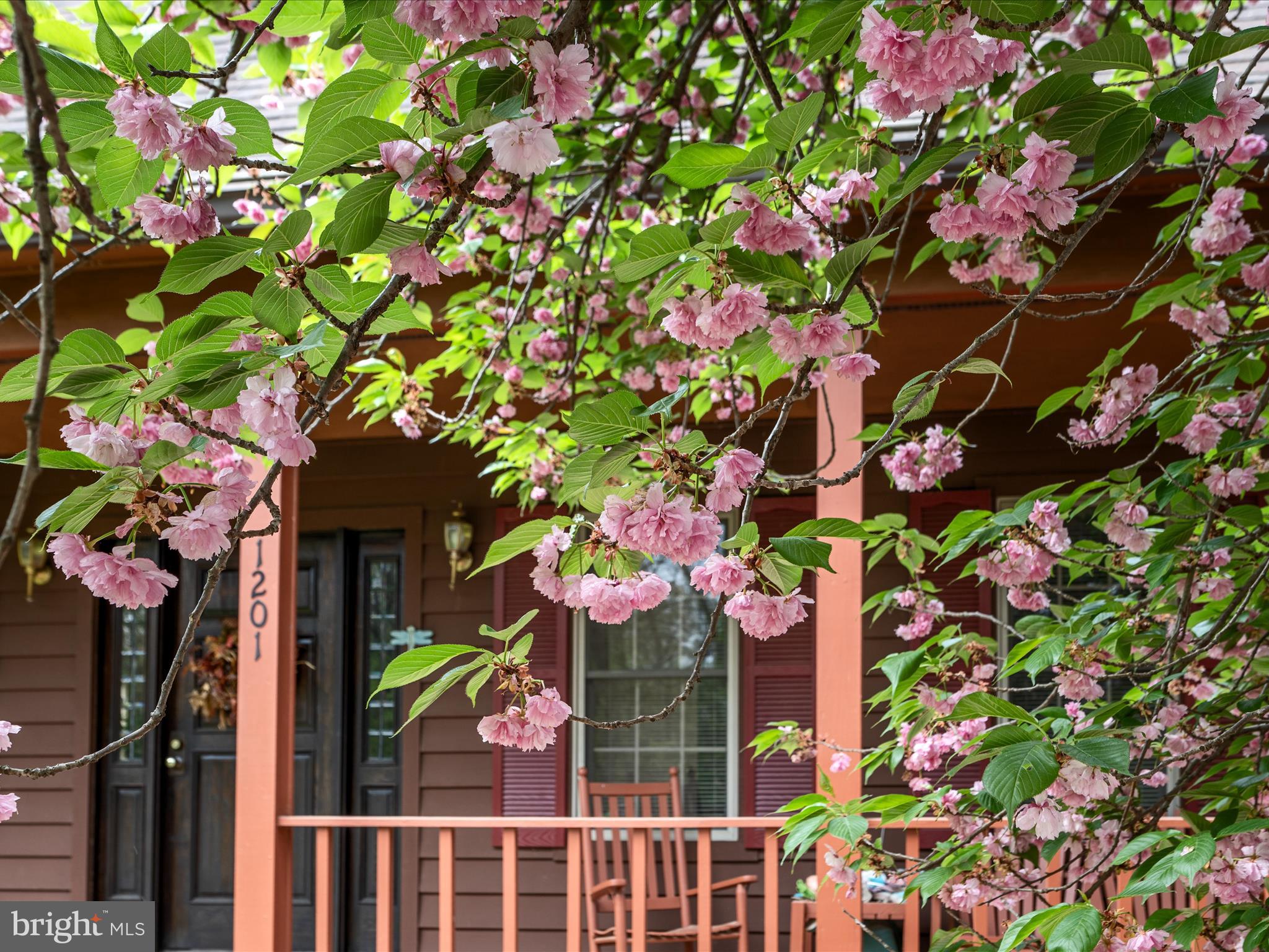 MORGAN GROVE HEIGHTS - Residential