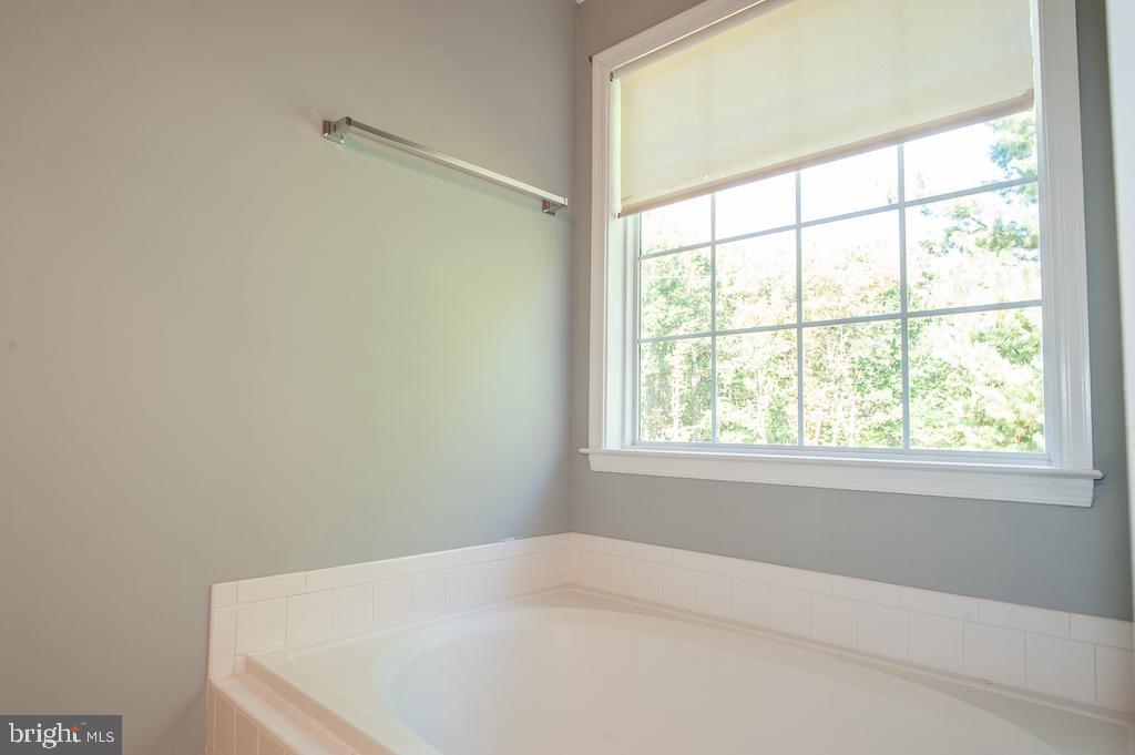 KINGSTOWNE - Residential Lease