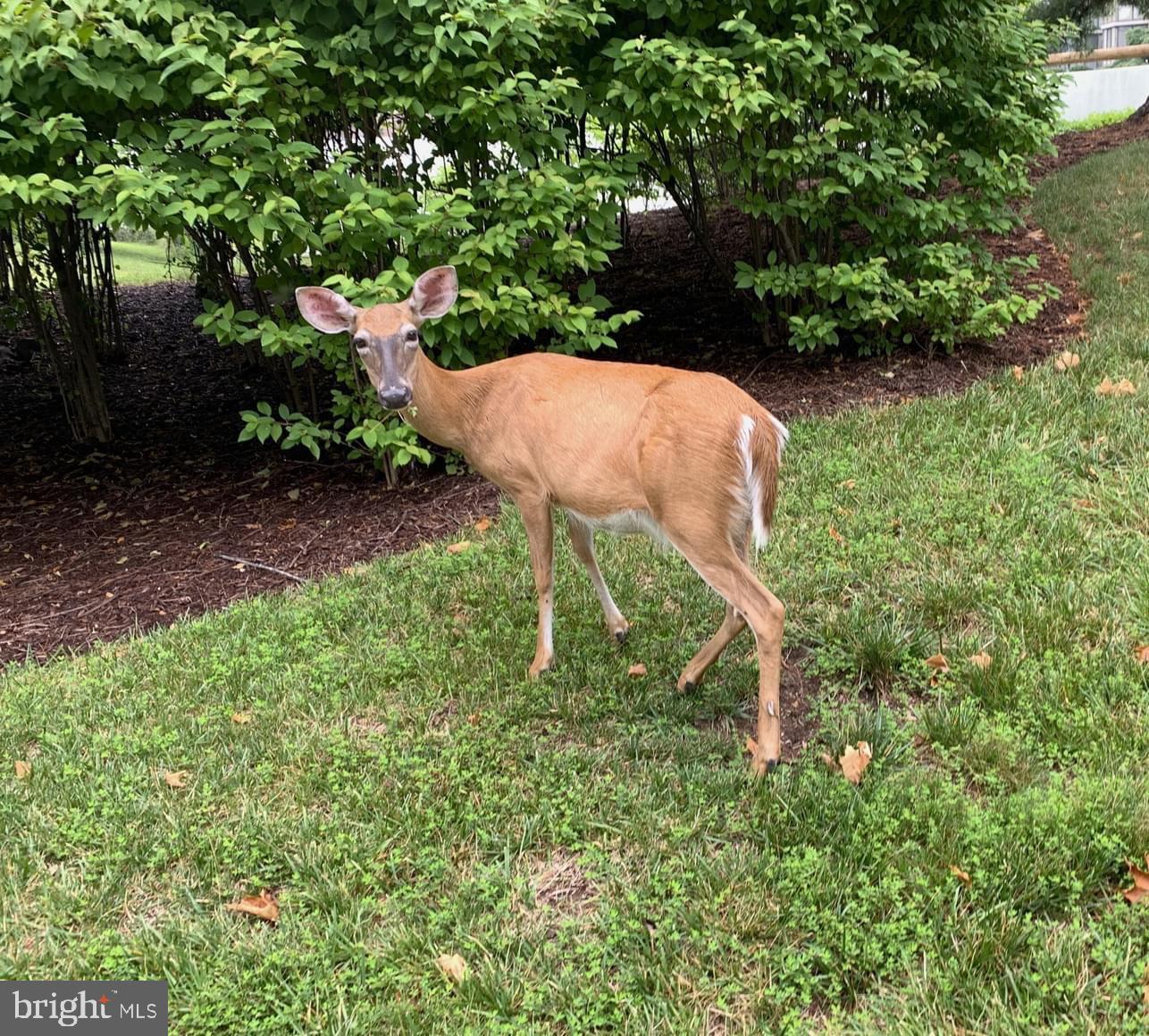 LEISURE WORLD - Residential Lease