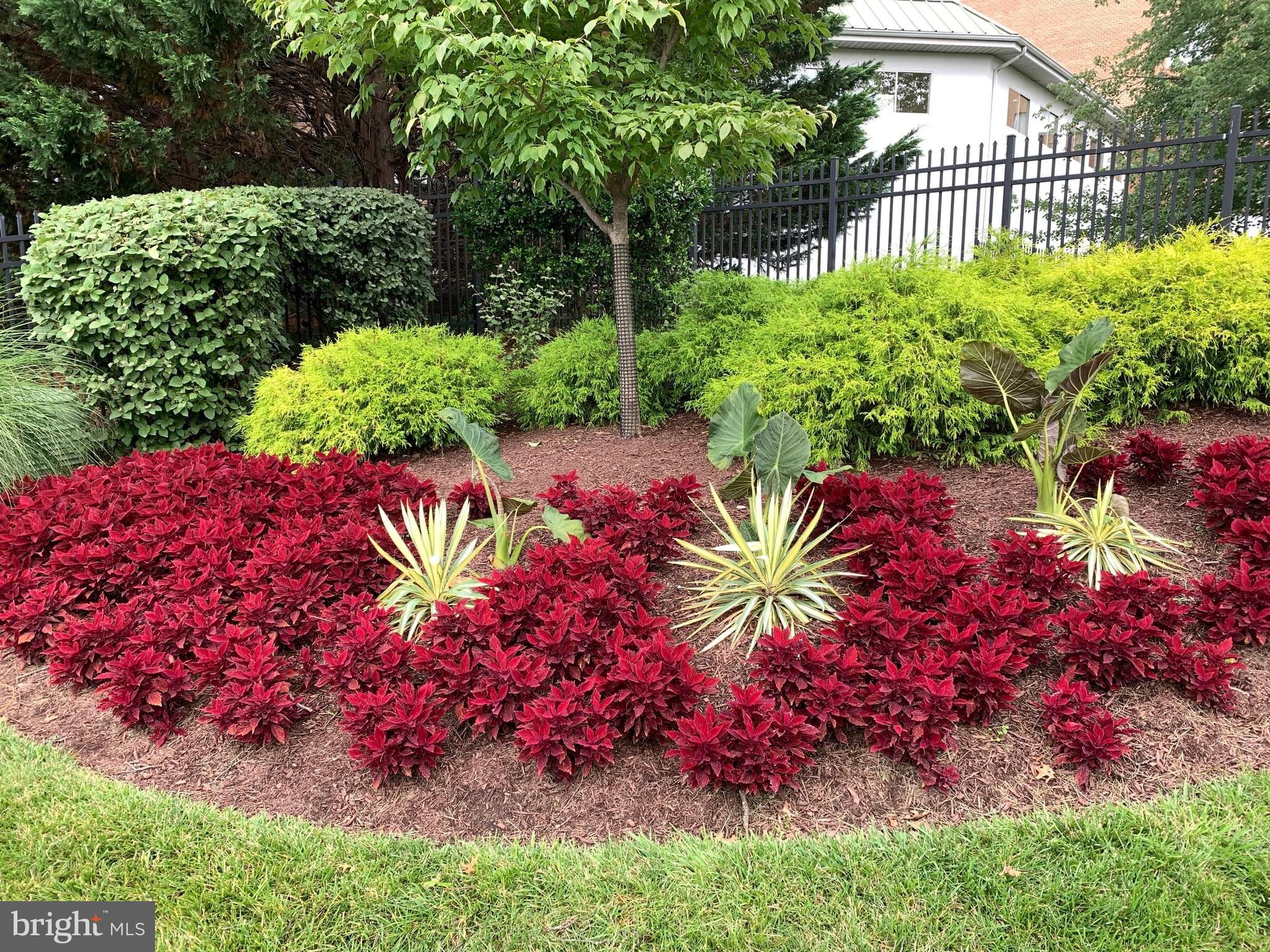 LEISURE WORLD - Residential Lease