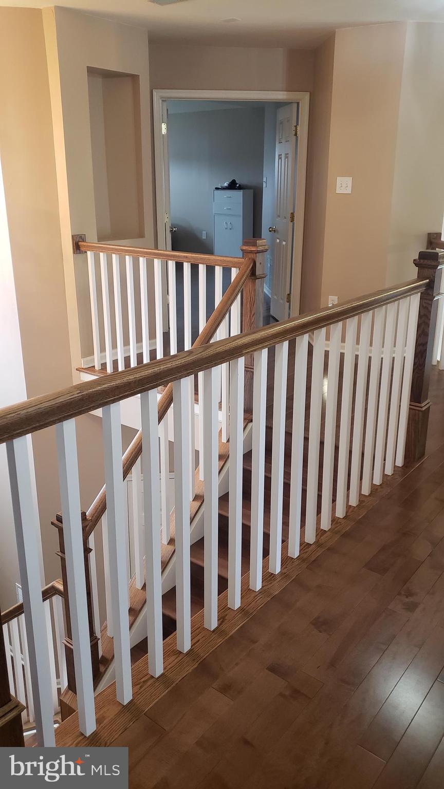 ECKER'S HOLLOW - Residential