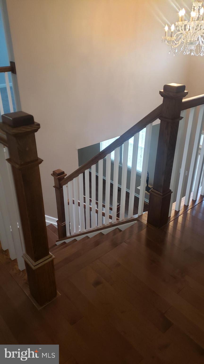 ECKER'S HOLLOW - Residential