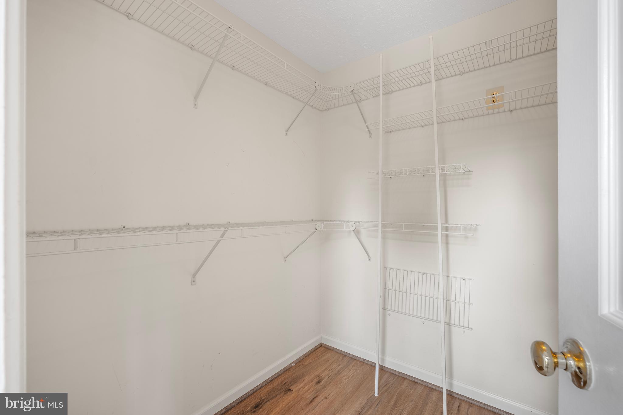 DORSEY SEARCH - Residential