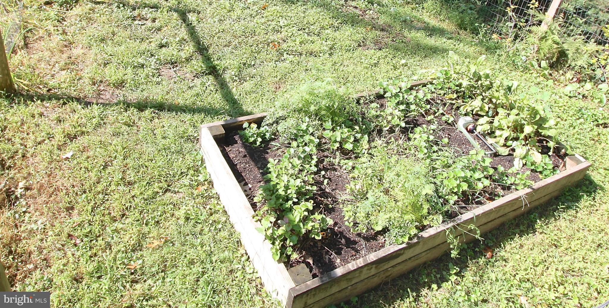 NORTH KENSINGTON - Residential