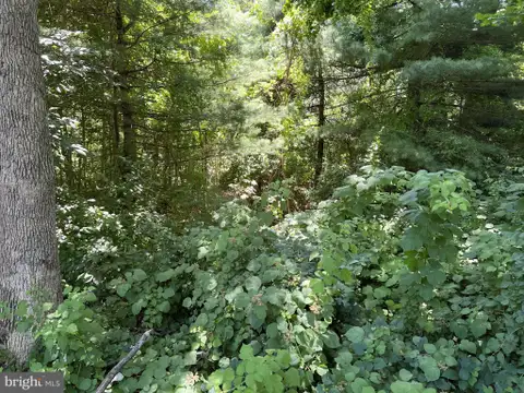MLS: MDHR2039982