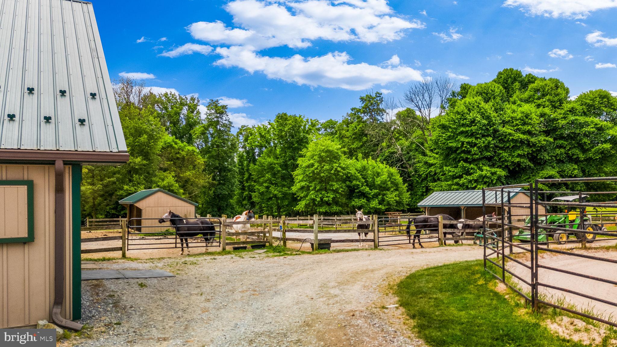 NONE AVAILABLE - Farm