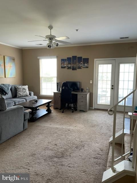 NANTUCKET MEWS @ CROFTON - Residential