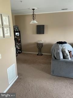 NANTUCKET MEWS @ CROFTON - Residential