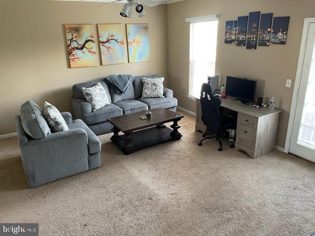 NANTUCKET MEWS @ CROFTON - Residential