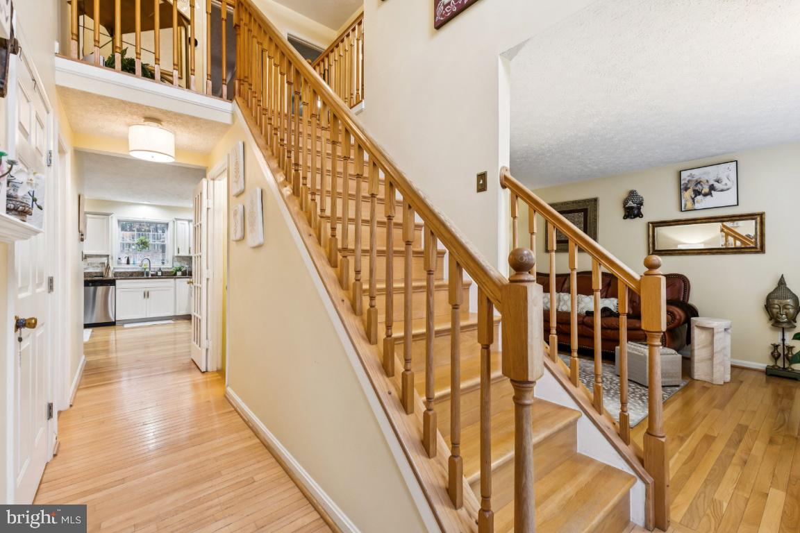 ESSEX SOUTH - Residential