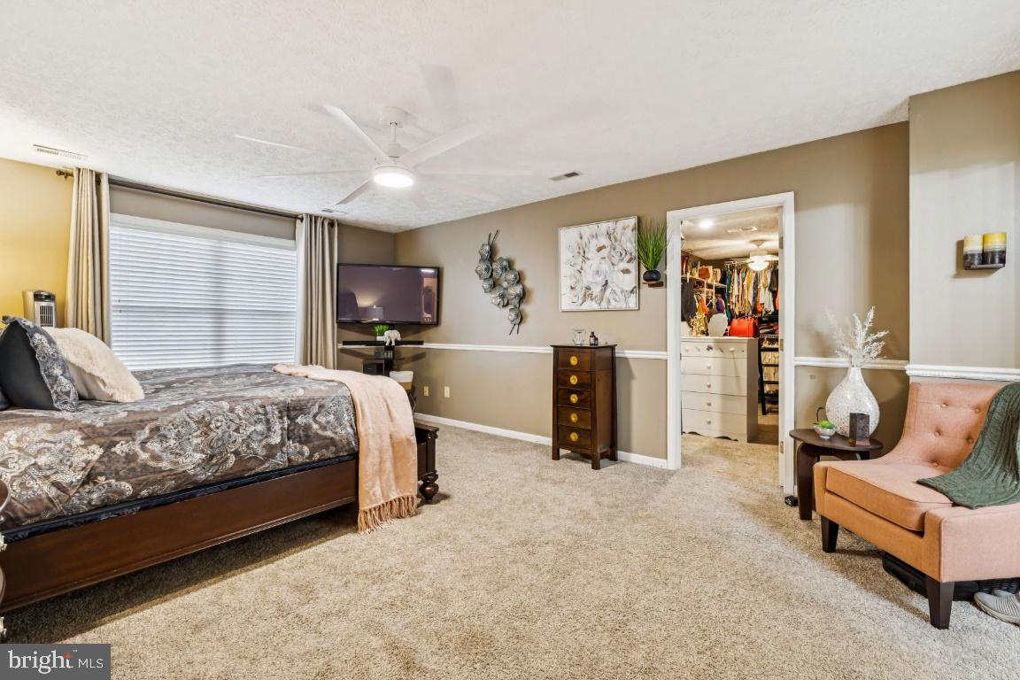 ESSEX SOUTH - Residential