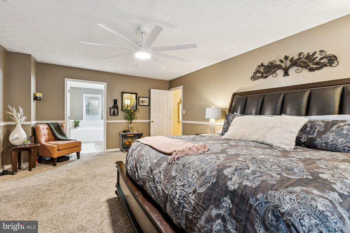 ESSEX SOUTH - Residential