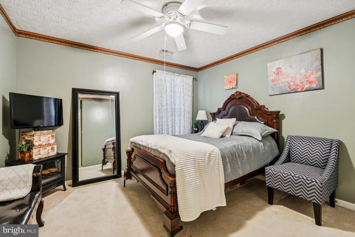 ESSEX SOUTH - Residential