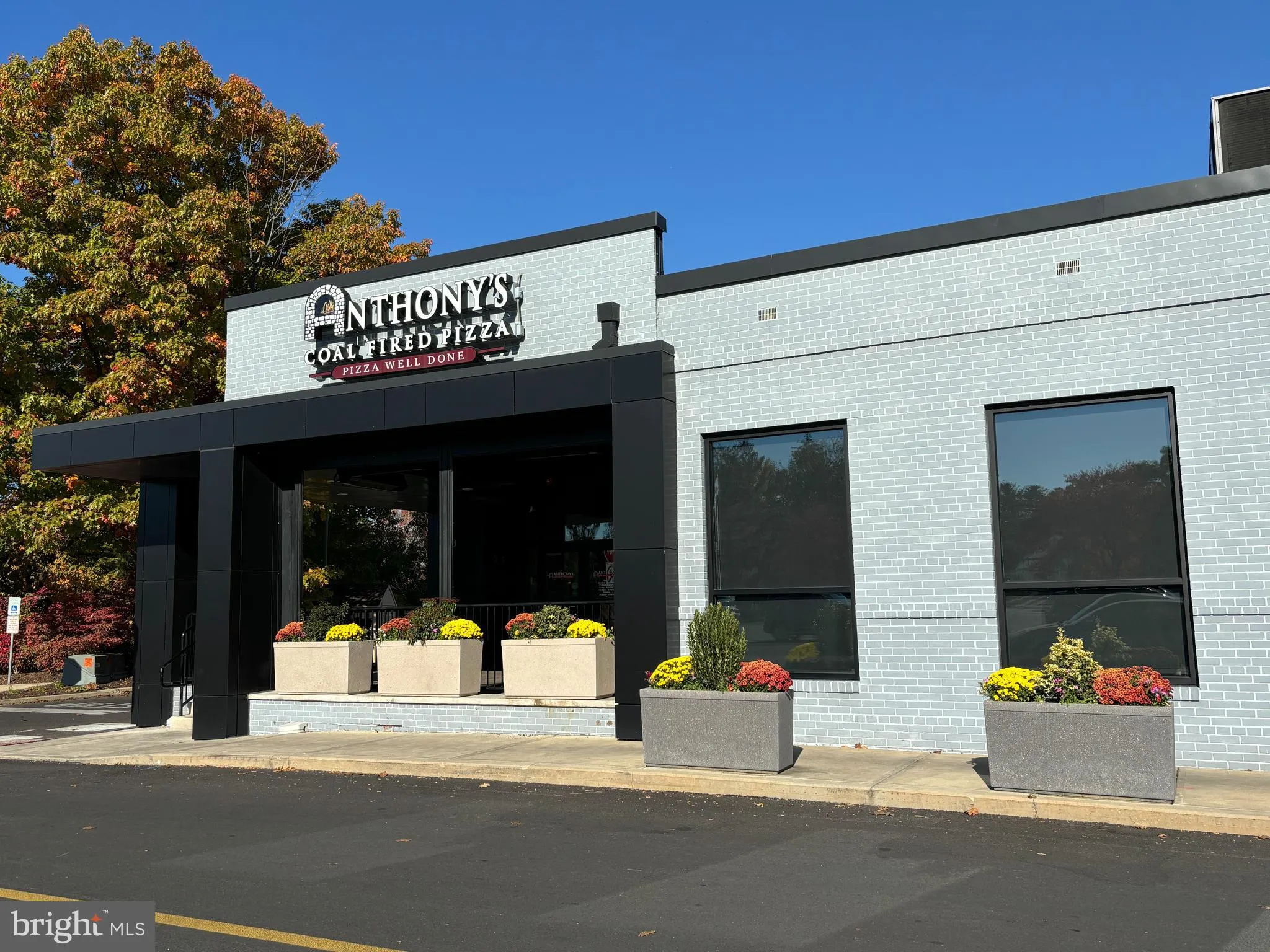 Wynnewood, Pennsylvania 19096, United States, 3 Bedrooms Bedrooms, ,2 BathroomsBathrooms,Residential,Pending,87918