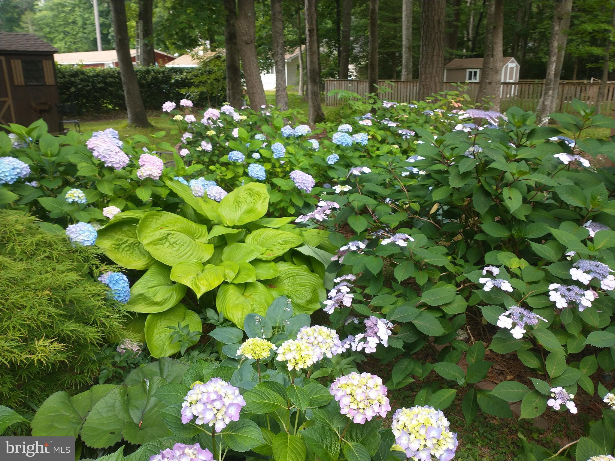 OCEAN PINES - HUNTINGTON - Residential