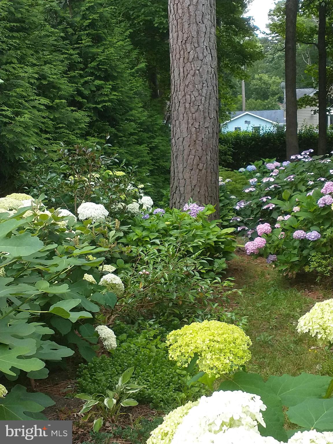 OCEAN PINES - HUNTINGTON - Residential