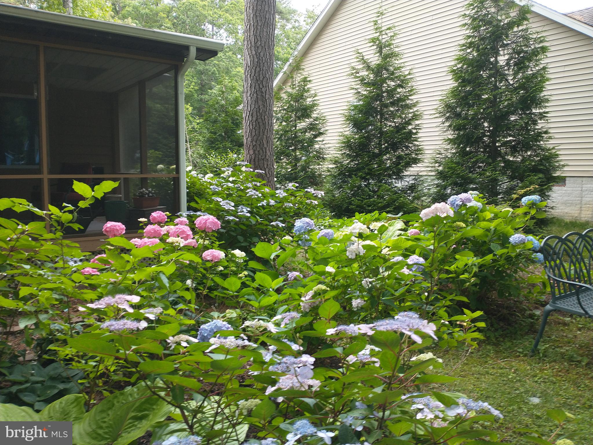 OCEAN PINES - HUNTINGTON - Residential