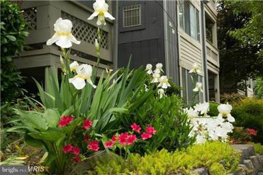 WINDBROOKE - Residential Lease