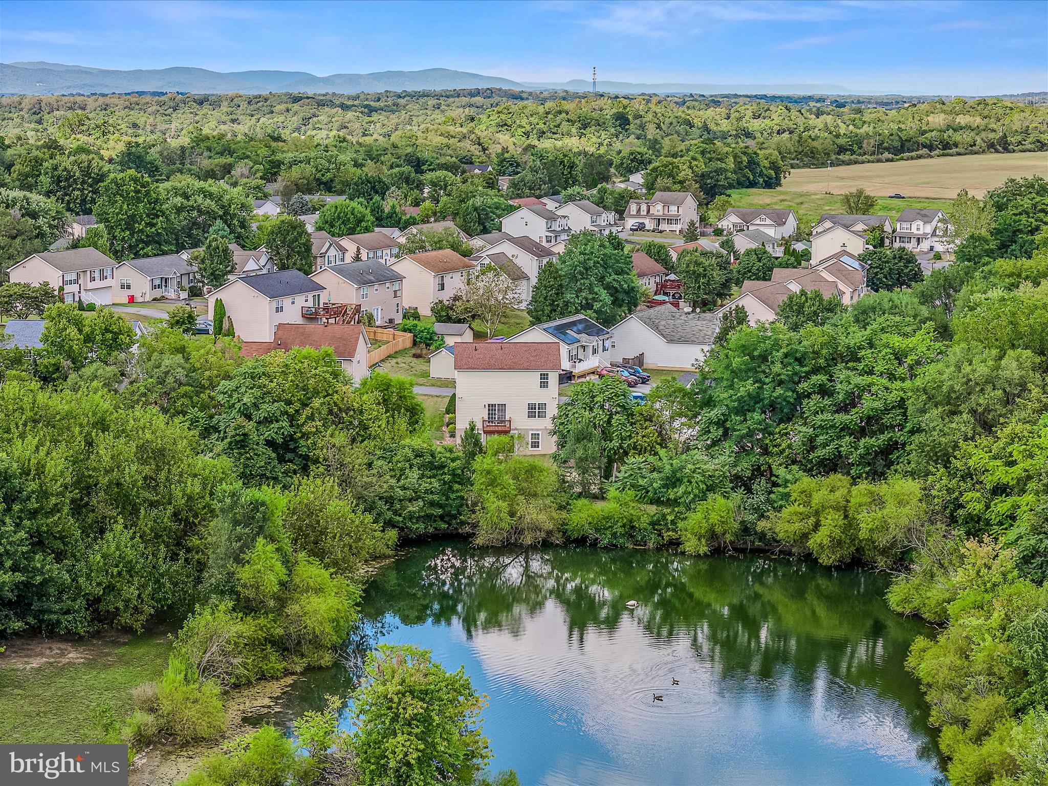 SPRINGFIELD VILLAGE - Residential