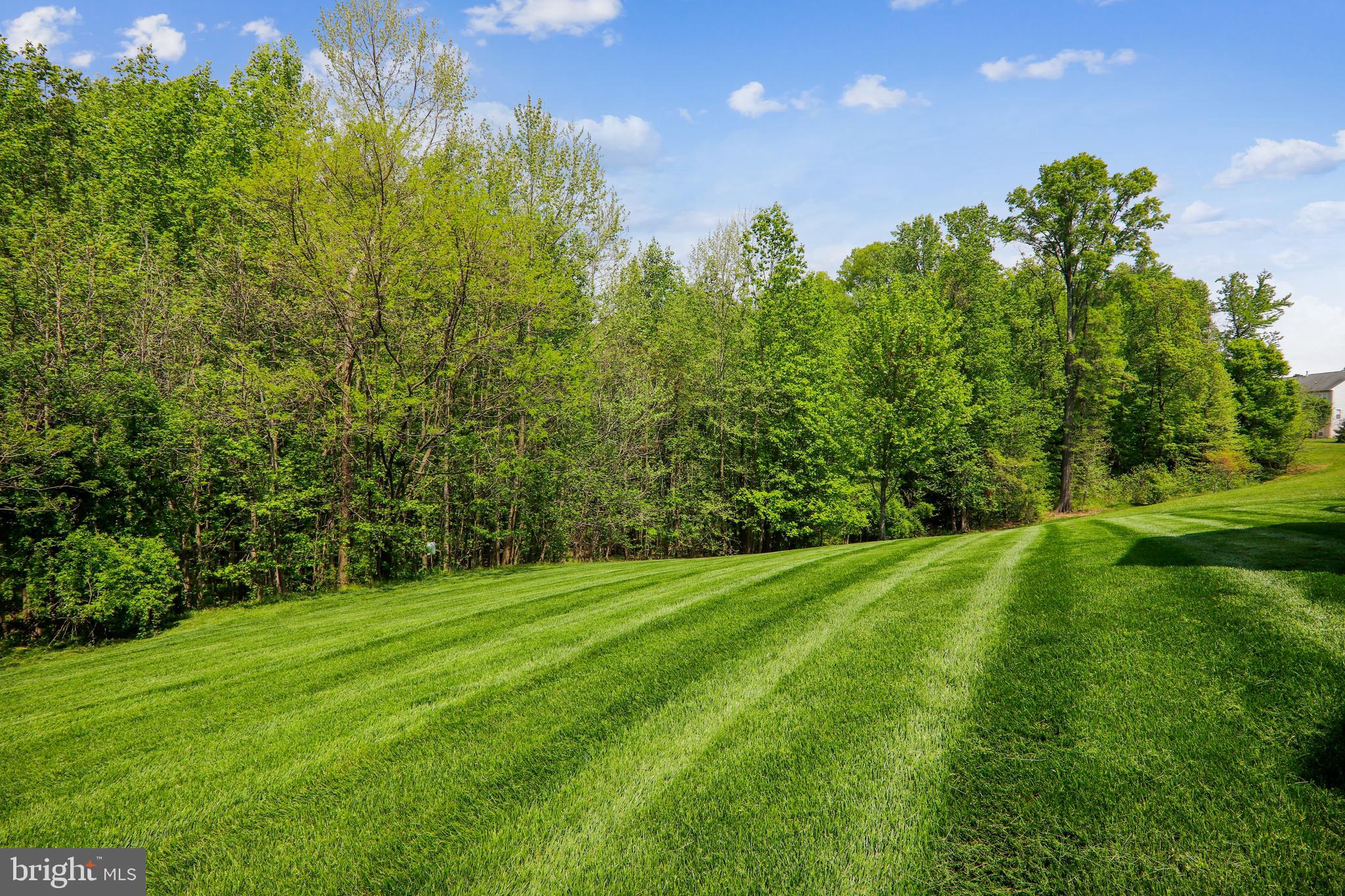 TIMBER RIDGE-PLAT 1 - Residential