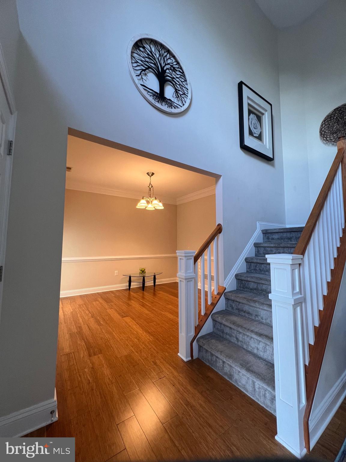 CATTAIL CROSSING - Residential