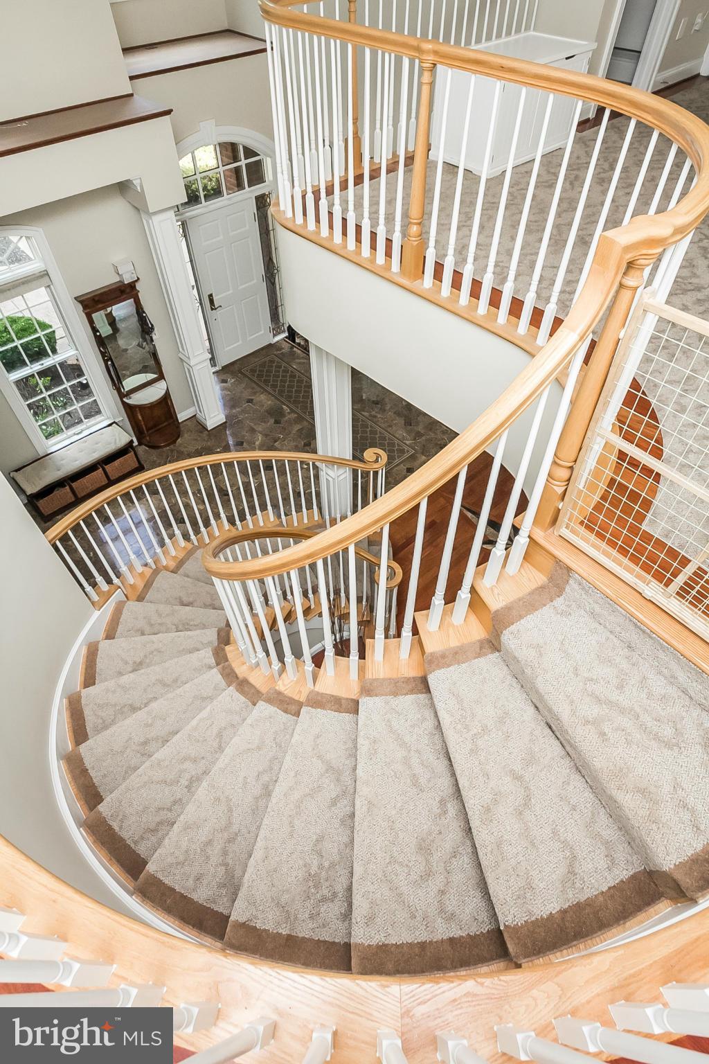 CHESTNUT WOODS - Residential